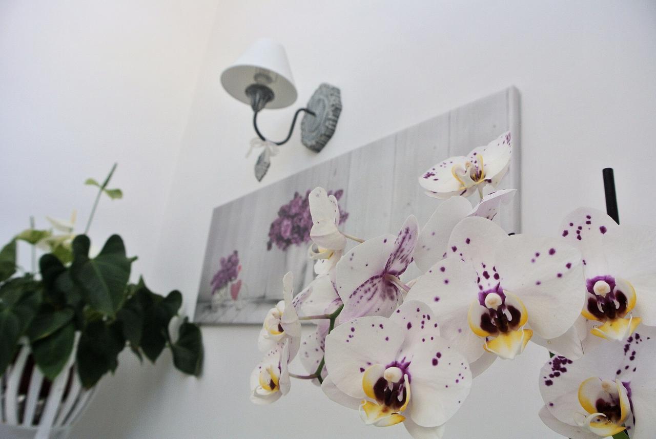 Almasol Bed & Breakfast Cassano delle Murge Ngoại thất bức ảnh